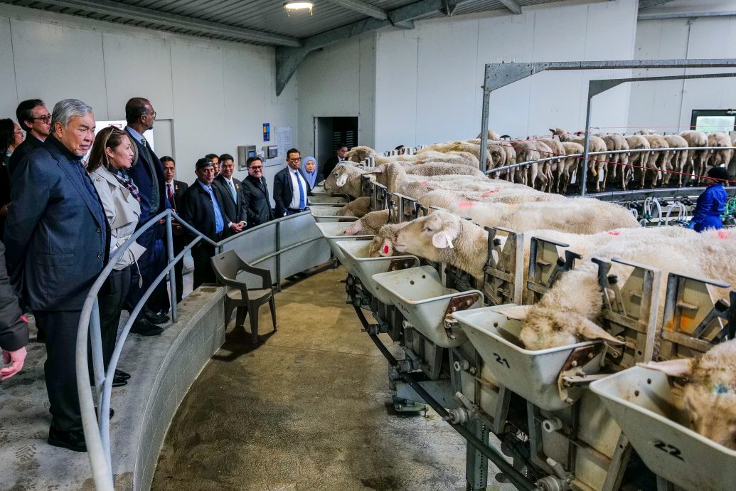 阿末扎希提议成立原住民商业理事会 专门的TVET机构赋权原住民