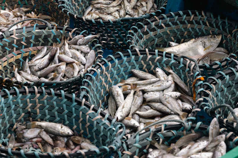 陈子韩/海上食堂