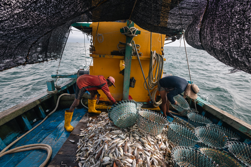 陈子韩/海上食堂