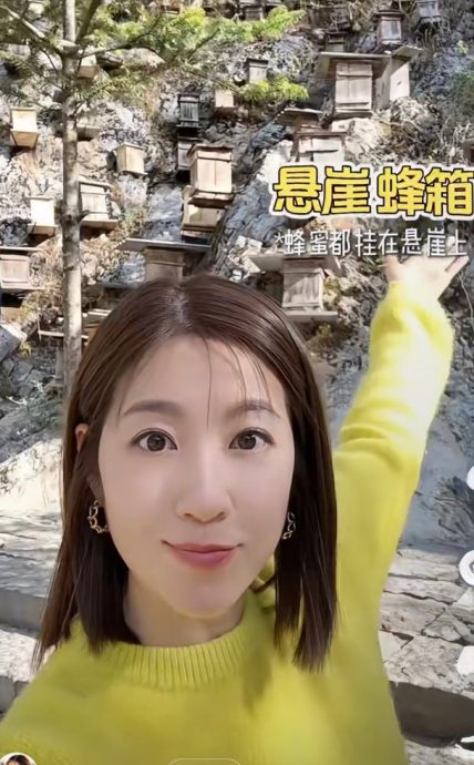 陈自瑶摸头赞金丝猴驯良　下秒傻眼画面曝光