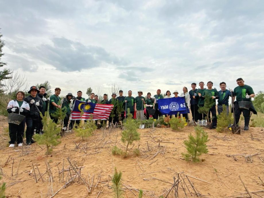 青运赴库布齐沙漠与清华大学交流 推动青年环保与国际合作