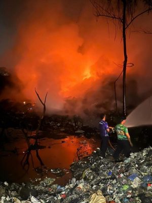 非法垃圾场大火毁4亩山林 庆幸水源未受污染