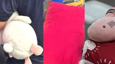 马大新生拖行李报到 也带“臭臭”一起住宿舍