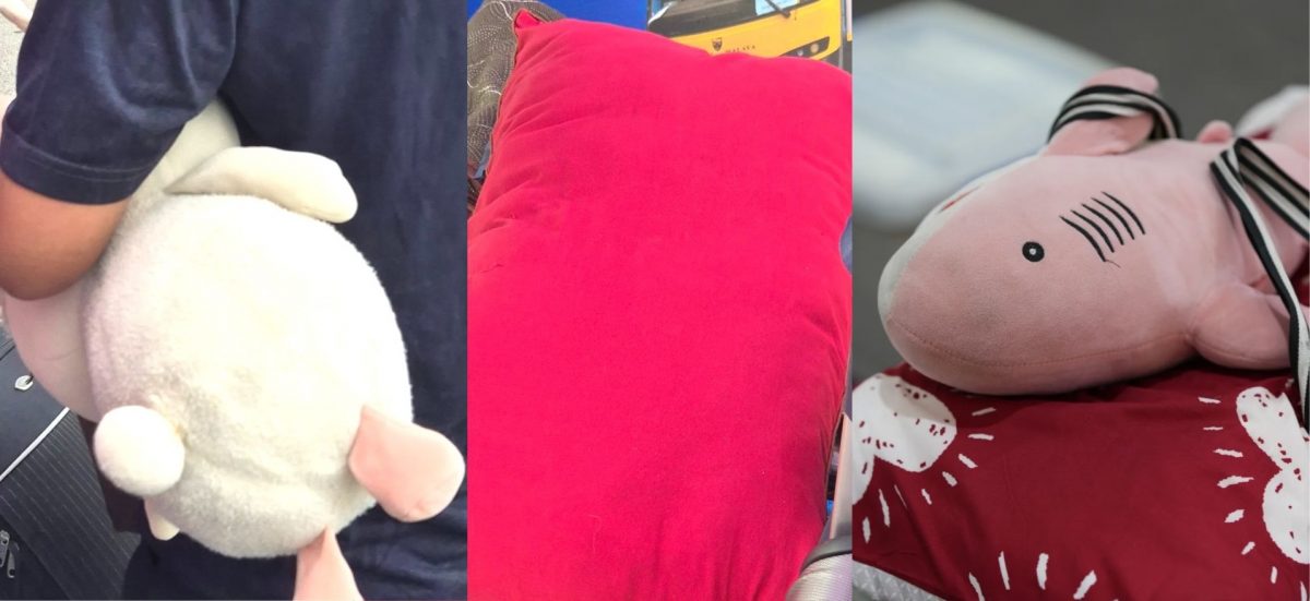 马大新生拖行李报到 也带“臭臭”一起住宿舍