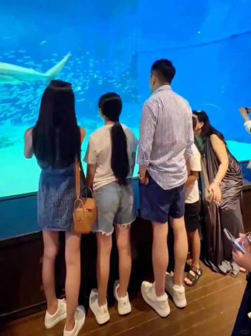 马筱梅被爆禁大S子女去陈建州家 S帮驳斥回应