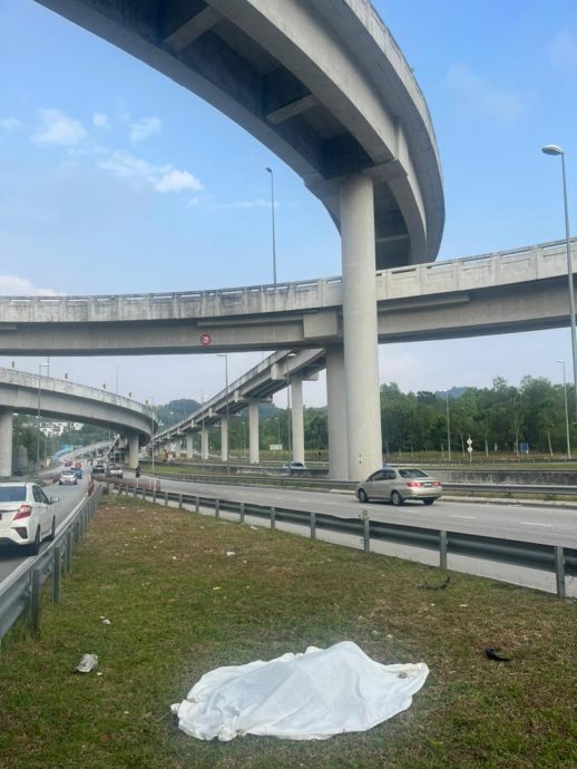 骑士从高架天桥掉下毙命