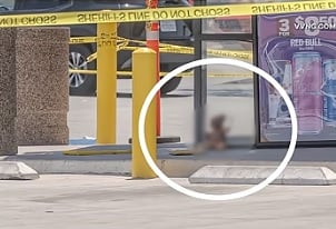 高彷人皮泰迪熊弃路边 警方法医到场严查