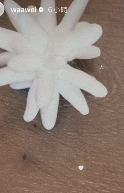 魏如萱疯传陷三角恋 经纪人发声：盼勿过度臆测