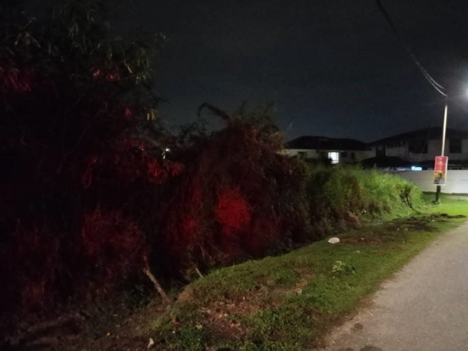 鸣山花园午夜捕射山猪惹关注　动保局：射击前已评估安全