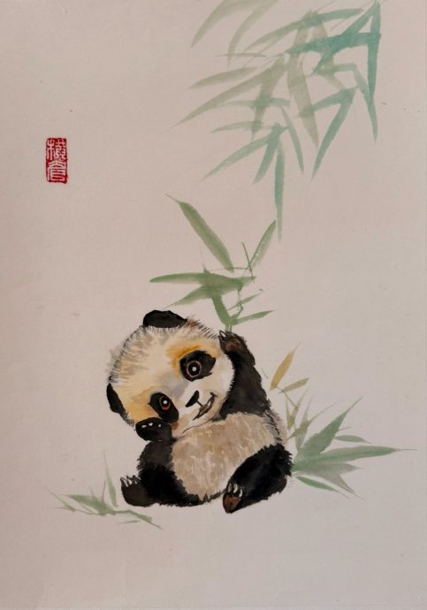 (1/8见报)大都会/色彩无界展览(社区精彩主文)