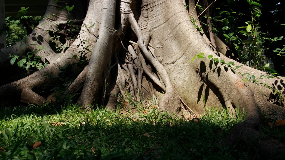 (26/7见报)城人小说——神像/陈菊美