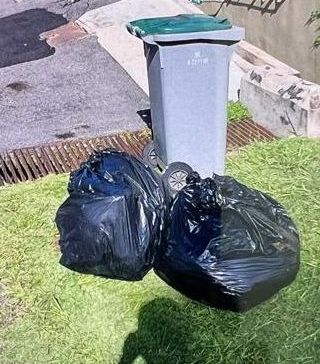 (古城封面主文)市民砍自家大树,必需租用大型垃圾槽
