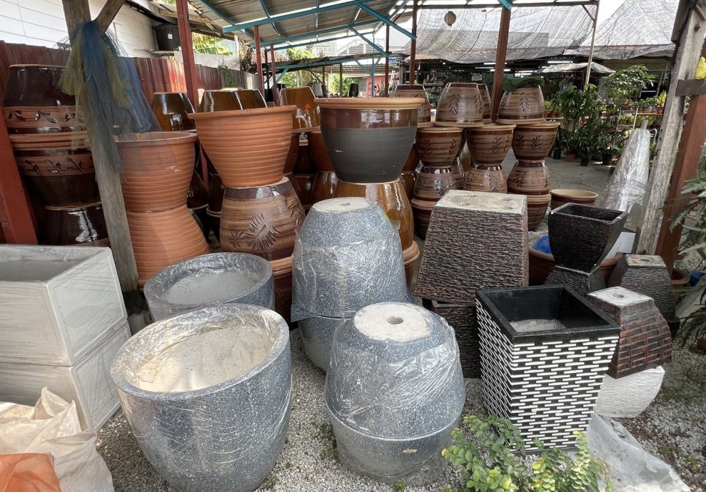 (古城封面主文)理性消费冲击绿植买气· 园艺以“疗愈价值”维系市场
