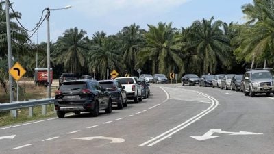 长3公里双车道 野新实甘往望万新路通车