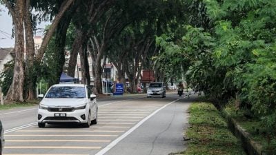车速快 下桥视线受阻 益智小学前道路易车祸