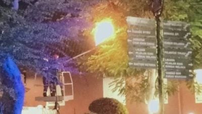 甲中央消拯队漏夜赶至   销毁红屋区蜂窝