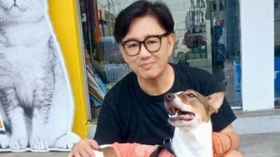 目睹被射死感崩溃   何君守护浪浪 等有缘人领养
