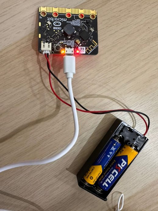 （大北马/创客妙想）锺灵独中学生周忆恩环保家园