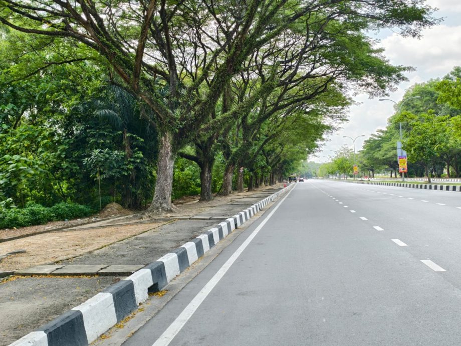 （大北马）2摊贩临时营业据点取得初步成效，市政厅计划峇都交湾增设2据点