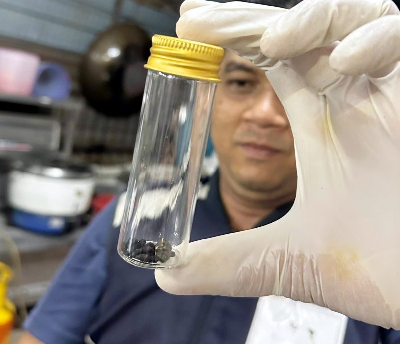 (大北马)3餐厅1杂货店有老鼠屎 被关闭14天