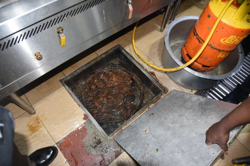 (大北马)3餐厅1杂货店有老鼠屎 被关闭14天