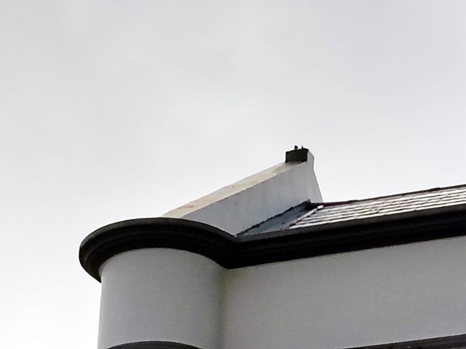 见证熔锡业兴衰 今转身成快餐厅   百年Birch House重焕光彩