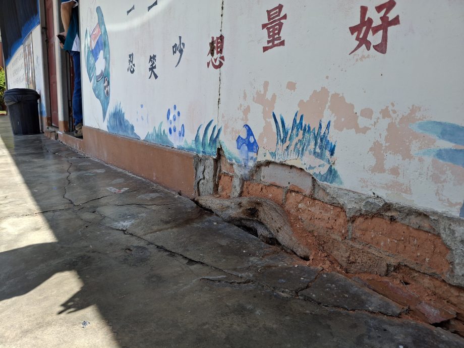 (大北马)亚依淡育民华教义演放眼筹100万建新礼堂