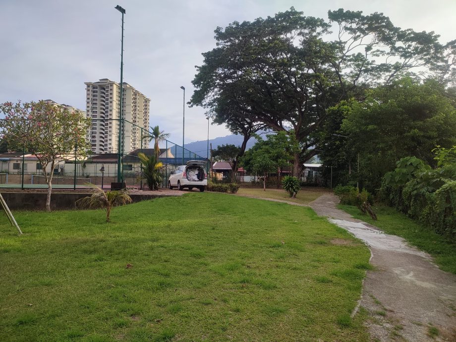 （大北马）公寓居民协会出租空地给人种菜收租，看到别人种菜赚钱也想下手玩玩