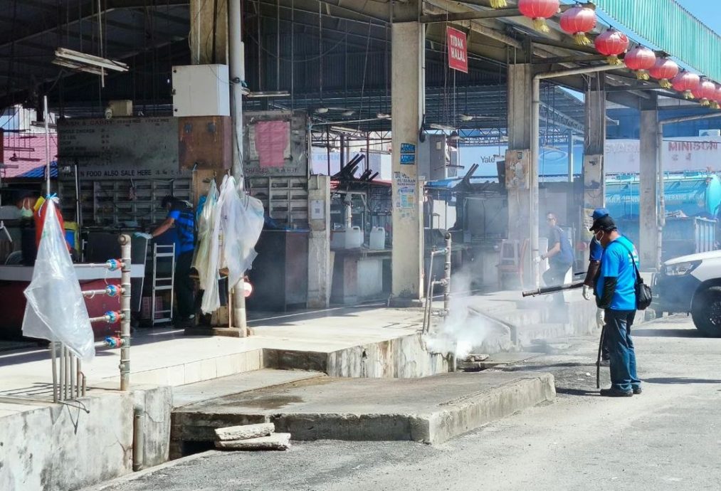 （大北马）北赖才能园巴刹灭鼠行动消灭35只老鼠