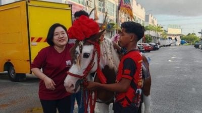 吉打天后宫首开先河   带真马儿出巡绕境