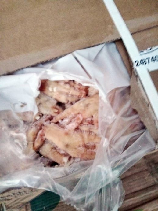 (大北马)巴东勿刹冷冻鸡脚走私活动仍活跃,PGA边境无人区发现搬运转车运送