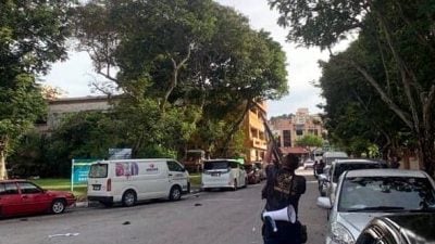 市厅一天射下391乌鸦    李成淮：乌鸦仍持续增加