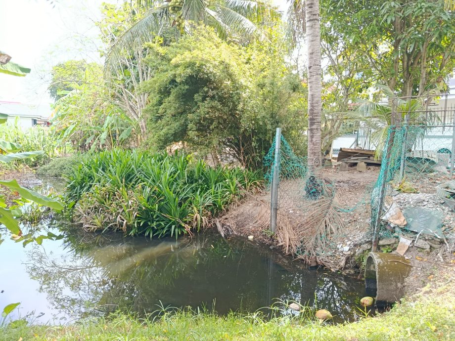 （大北马）彭心慈建议将双溪浮油国小旁荒地改造成昌明操场
