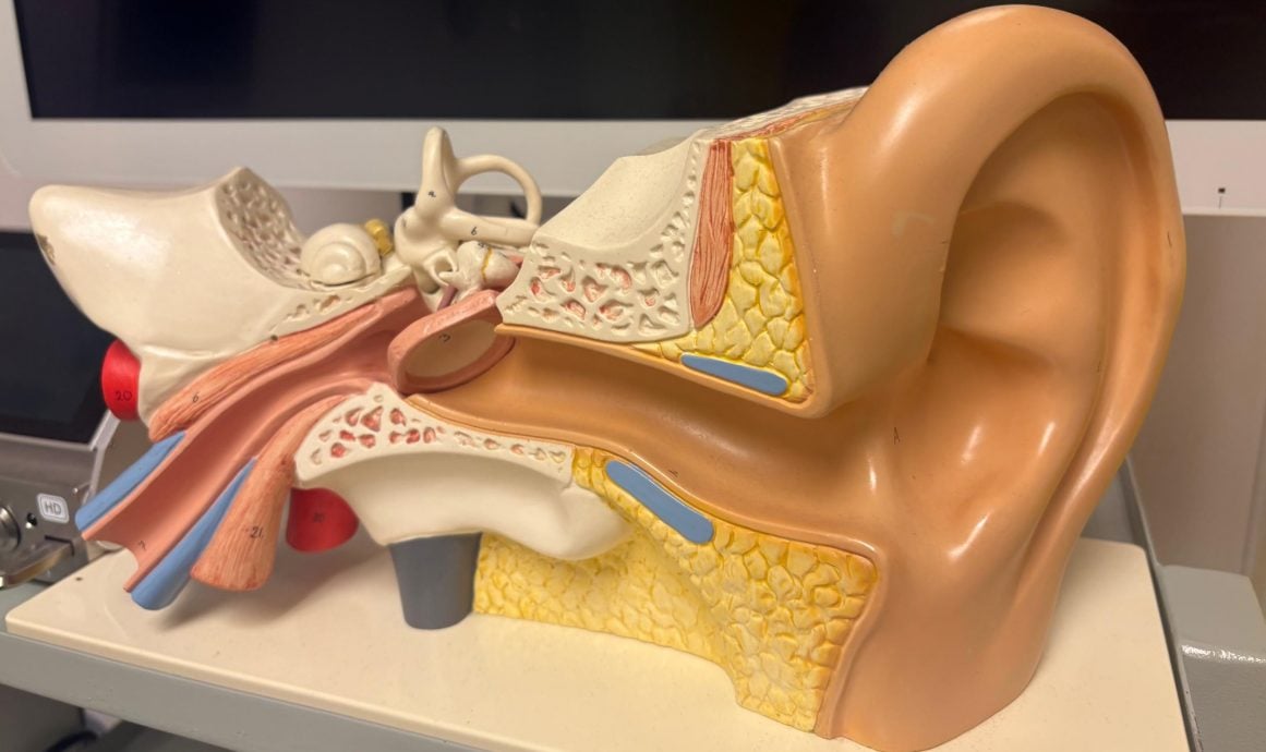 （大北马）林世源医生畅谈20年人工耳蜗手术路