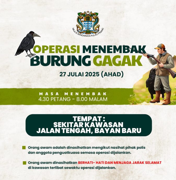 （大北马）槟威本周末多地射杀乌鸦 民众听到枪声不要怕