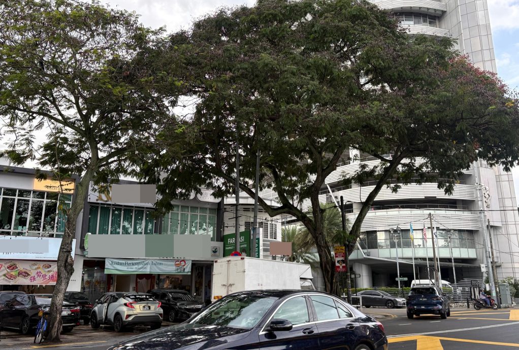 （大北马）槟岛逾240棵树让路重要基设工程　引环保人士担忧绿地减少