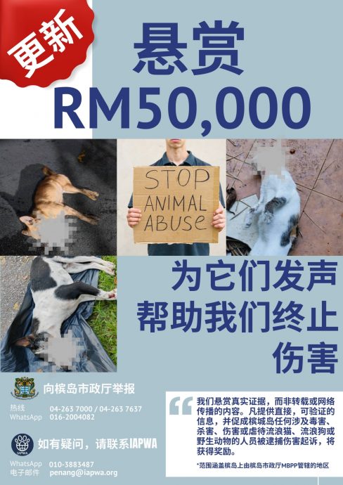 （大北马）非政府组织悬赏5万 把虐待和残害动物者绳之以法