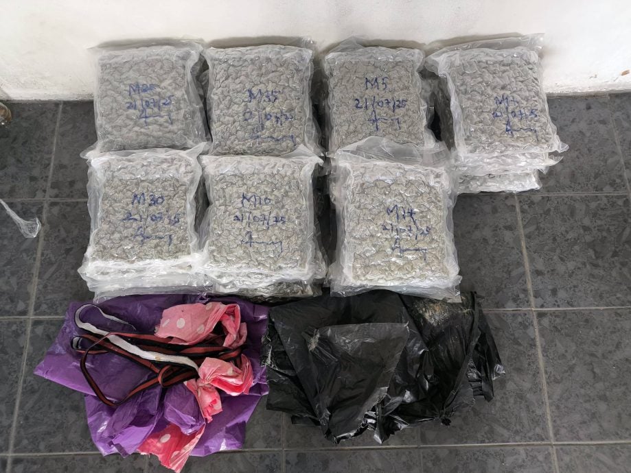 （大北马）马泰边境再揭大麻乾花走私，毒枭剪破围篱掷入境