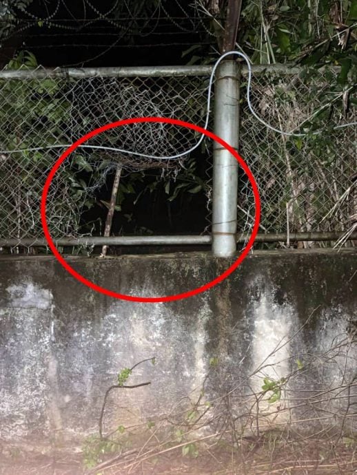 （大北马）马泰边境再揭大麻乾花走私，毒枭剪破围篱掷入境