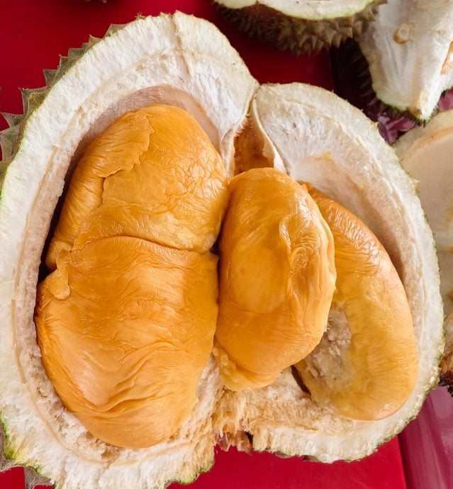 （大北马）黑刺罕见跌价 