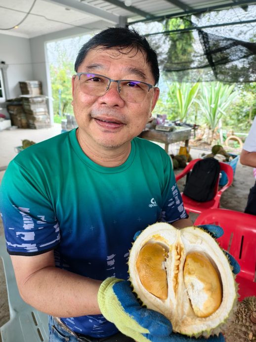 （大北马）黑刺罕见跌价 