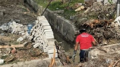 工程需时2个月 市厅砍树修沟杜绝水患