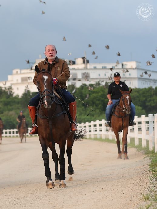 （已签发）全国：国家元首骑马   保持身体健康