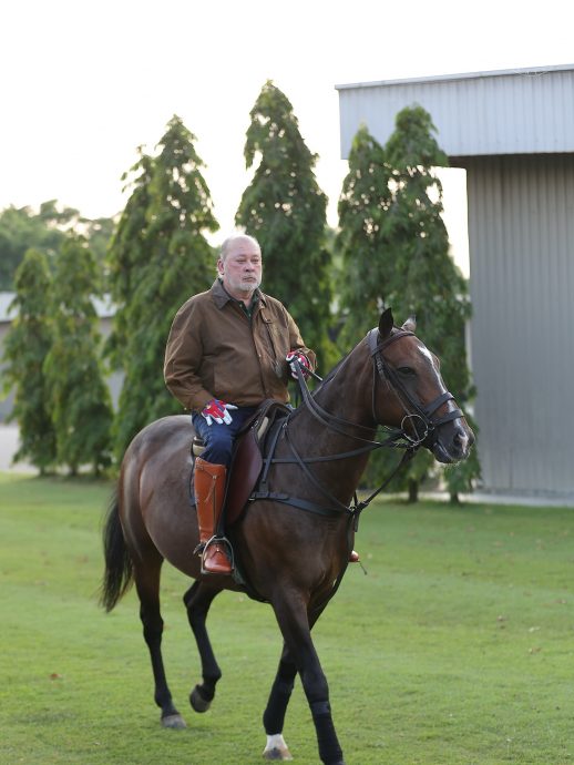 （已签发）全国：国家元首骑马   保持身体健康