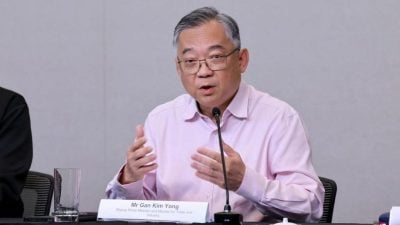 柔新合作优势不在关税   颜金勇：资源互补优势互利