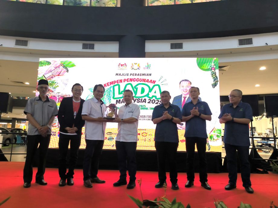 （已签发）全国：陈泓缣：我国胡椒以品质取胜，产量全球排名第五