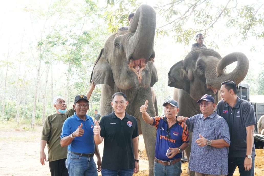 迁移行动启动以来 加亨区一周捕9头野象