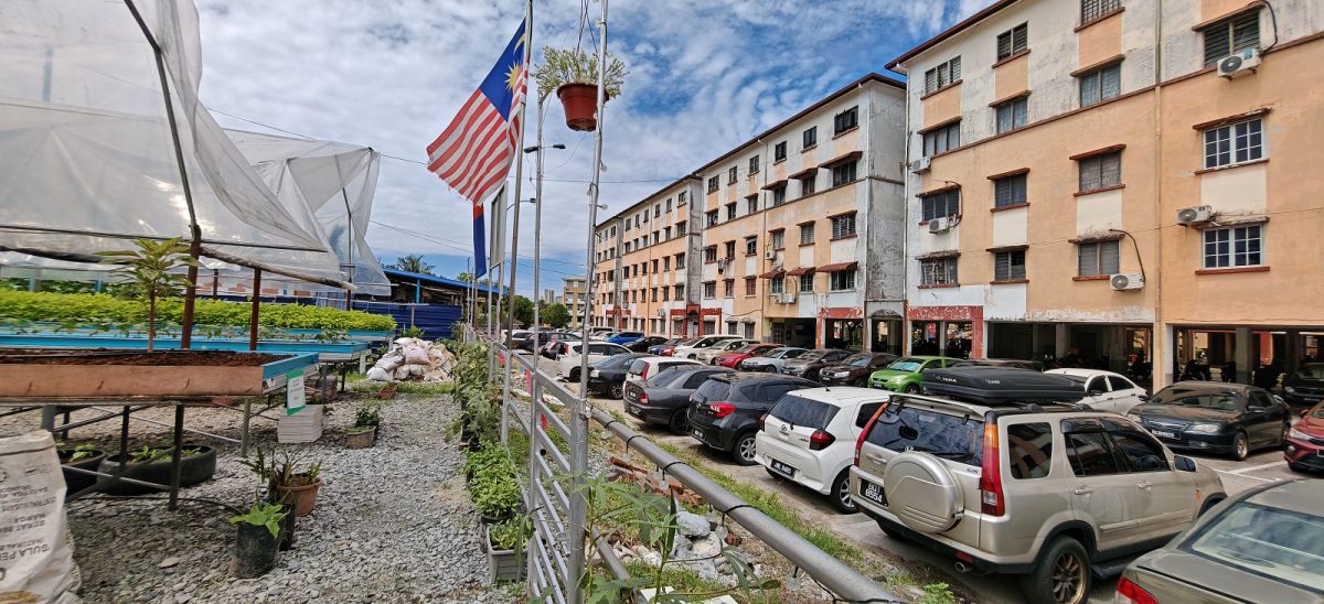 (已签发)柔:封面特稿:居委会种出热销品 金山园社区菜园成楷模