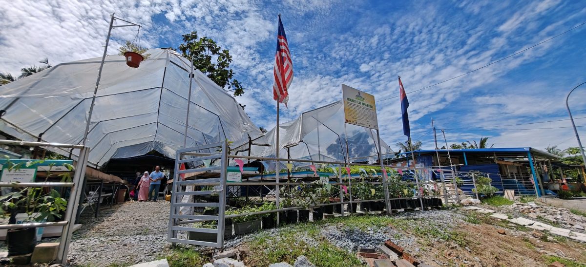 (已签发)柔:封面特稿:居委会种出热销品 金山园社区菜园成楷模