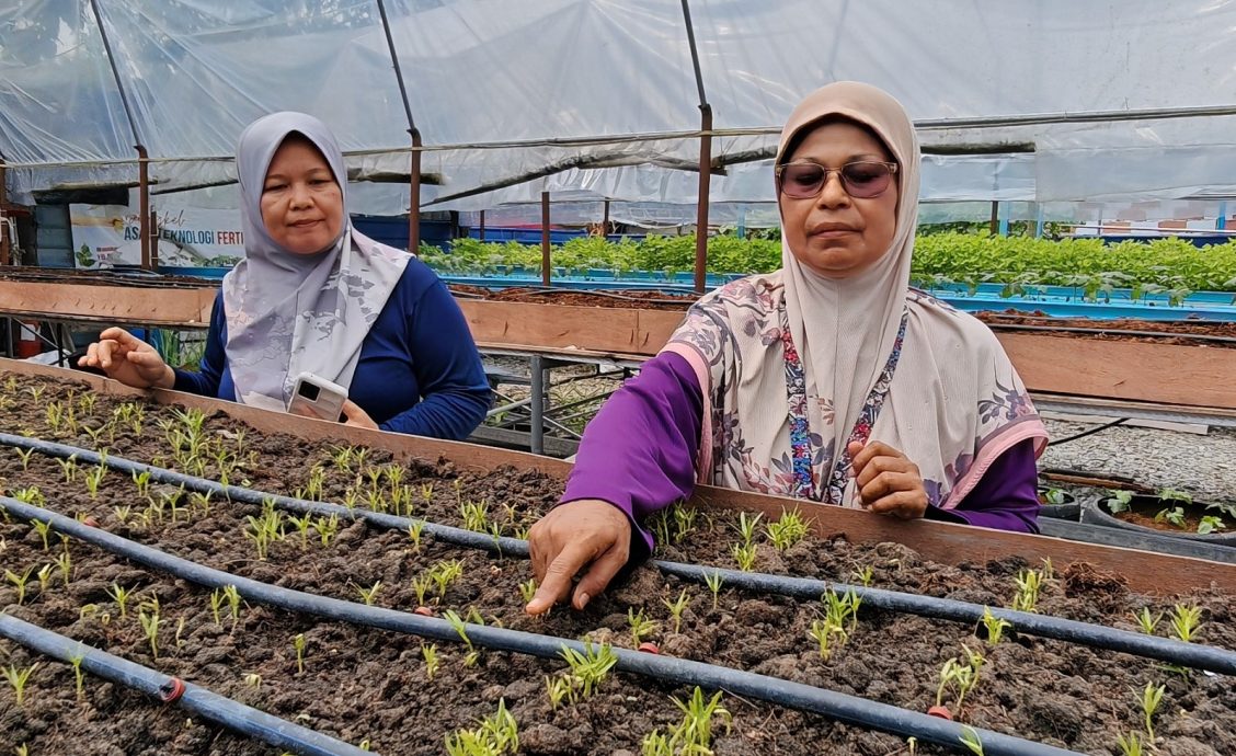 (已签发)柔:封面特稿:居委会种出热销品 金山园社区菜园成楷模